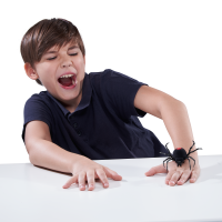 Игрушка ZURU Robo Alive интерактивная Паук