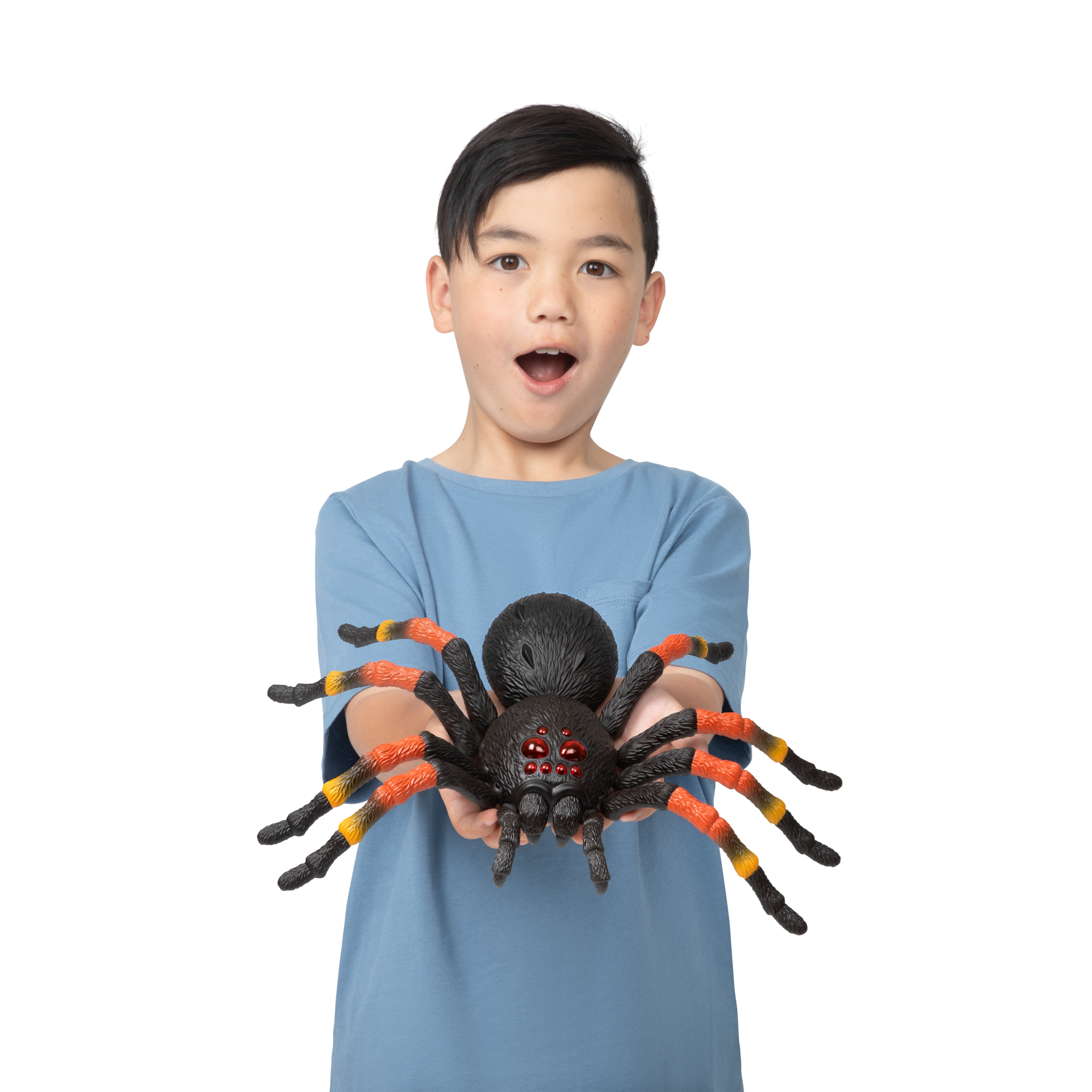 Игрушка ZURU Robo Alive интерактивная Тарантул в асс.