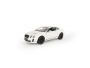 Машинка WELLY 1:24 Bentley Continental Supersports, белый