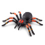 Игрушка ZURU Robo Alive интерактивная Тарантул в асс.