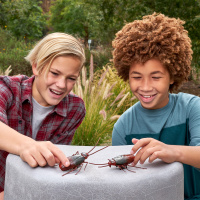 Игрушка ZURU Robo Alive интерактивная Таракан