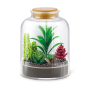 Игровой набор ZURU Mini Create Garden Capsule «Шар-сюрприз» в непрозрачной упаковке