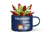 Конструктор Decool "Суккуленты"