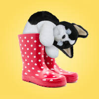 Игрушка My Fuzzy Friends Сонный щенок Таккер