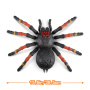 Игрушка ZURU Robo Alive интерактивная Тарантул в асс.